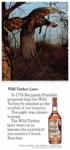 Wild Turkeyr 1975 0.jpg